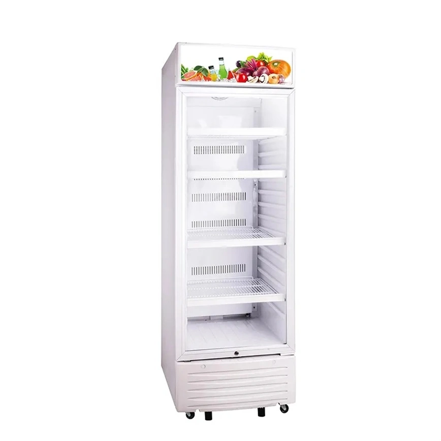 310L Durable Using Upright Freezer Commercial Vertical Showcase Upright Beverage Showcase Refrigerator